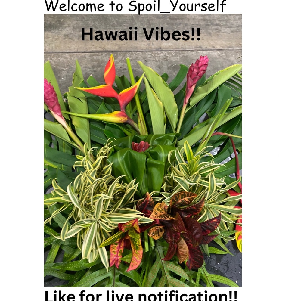 🌺🌺Come hang out!! 🌺🌺